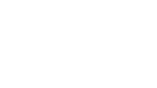 3D Secure